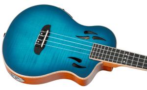 Ortega RTPX-U-FMA