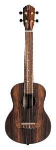 Ortega RUEB-TE