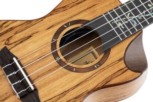 Ortega RUET-SMA Elite Series Spalted Maple