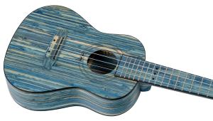 Ortega RUSWB-CC