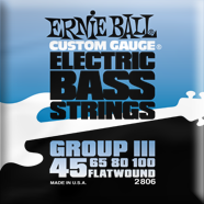 Ernie Ball 2806 Bass Flatwound Stainless 045-100