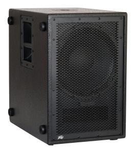 Peavey PVs-12