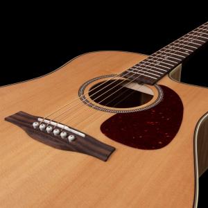 Seagull Performer CW Spruce HG Presys II - Natural