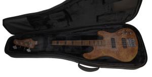 Pulse EBC3000 Hybrid Case Elbas