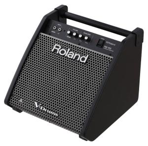 Roland PM-100