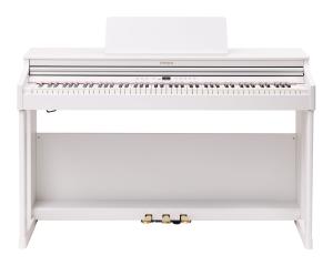 Roland RP701-WH
