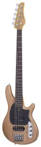 Schecter CV-5 GNAT