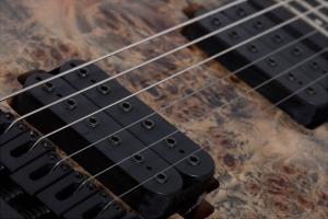 Schecter C-6 Pro ARB