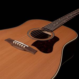 Seagull Coastline Momentum HG A/E - Natural