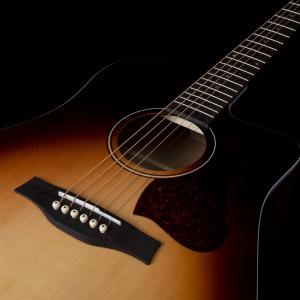 Seagull Entourage CW Presys II - Autumn Burst