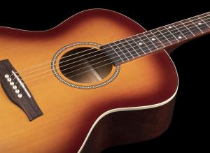 Seagull Entourage Mini Jumbo - Rustic Burst