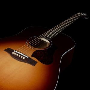 Seagull Entourage Presys II - Autumn Burst