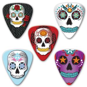 Grover Allman Sugar Skull Picks 5-pack