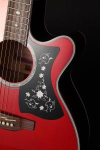 Takamine GN75CE - Wine Red