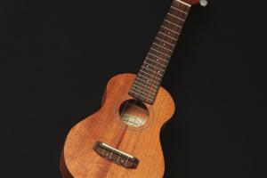 Takamine GU-C1