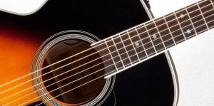 Takamine P6N - Brown Sunburst