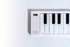 Blackstar Carry-on Folding Piano 88