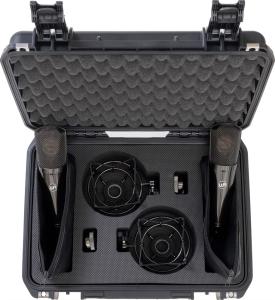 Warm Audio WA-87 R2 Titanium Stereo Pair Limited Edition