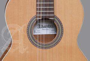 Alhambra Z-Nature CW EZ inkl. gigbag