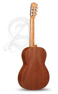 Alhambra Z-Nature inkl. gigbag