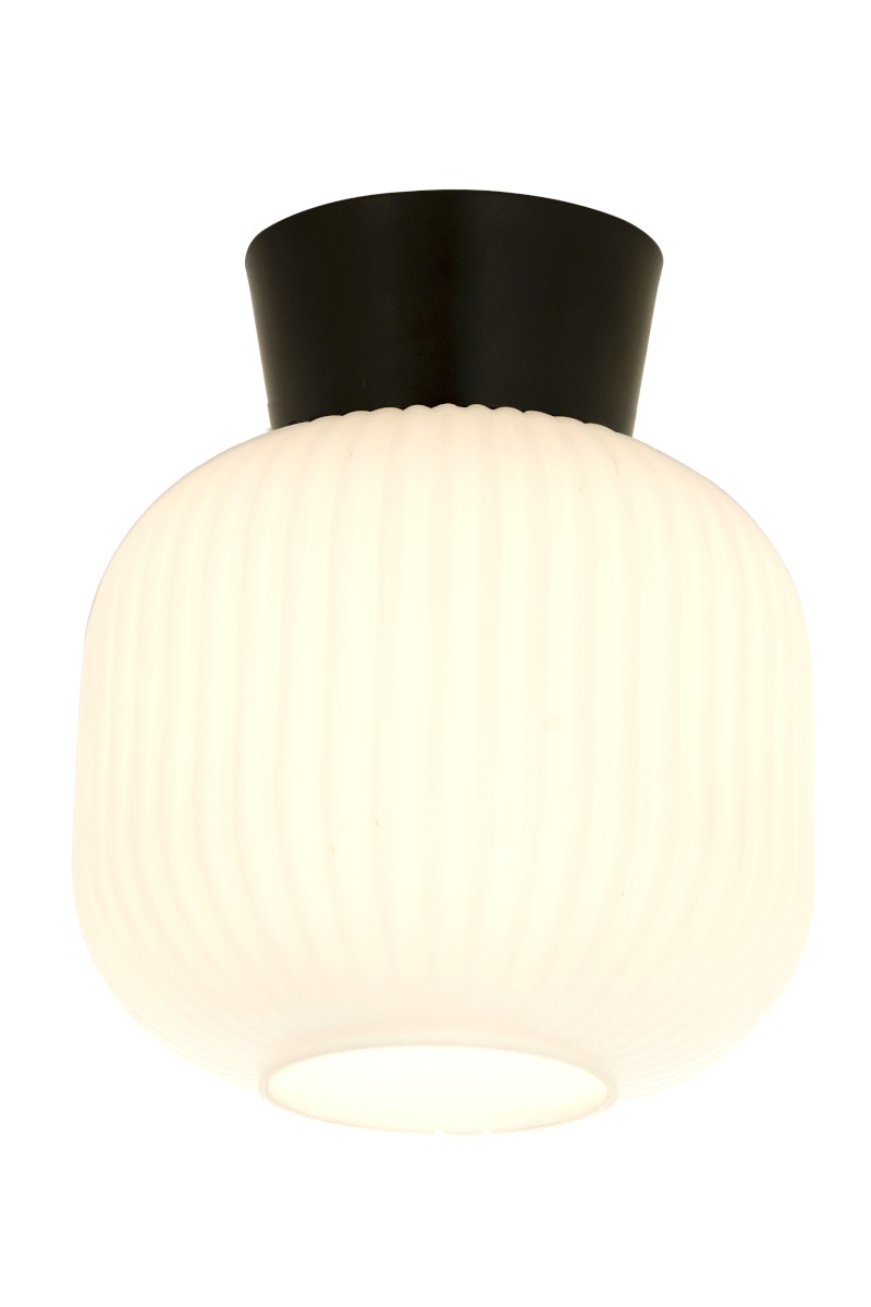 VANJA Plafond 20cm Svart/Vit