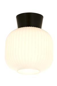 VANJA Plafond 20cm Svart/Vit
