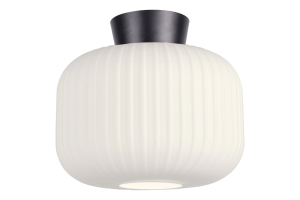VANJA Plafond 28cm Vit/Svart