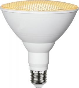 E27 Växtlampa PAR38 16W 1700lm LED-Lampa