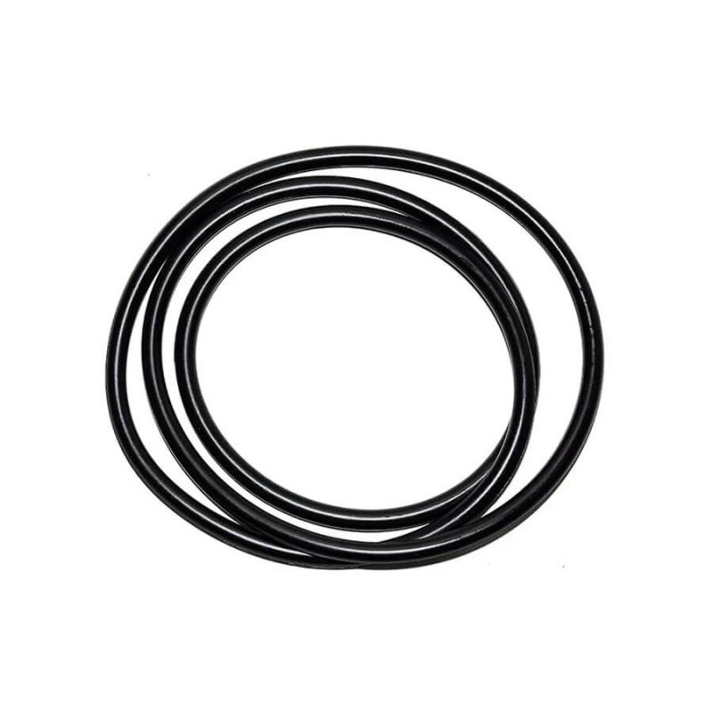 BIOCLEAR O-ring Behållare 20/30/40/80000 XL/PL