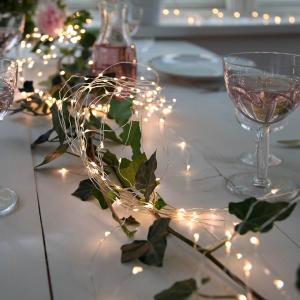 DEW DROP Ljusslinga 1,4m 125LED Varmvit/Silver