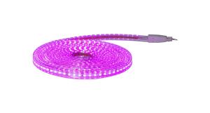 FLATSMDLED Ljusslang 5m 480LED Rosa/Transparent