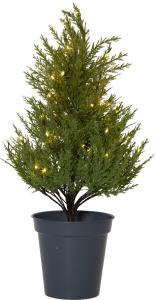 THUJA Dekorationsträd Batteri 55cm Grön