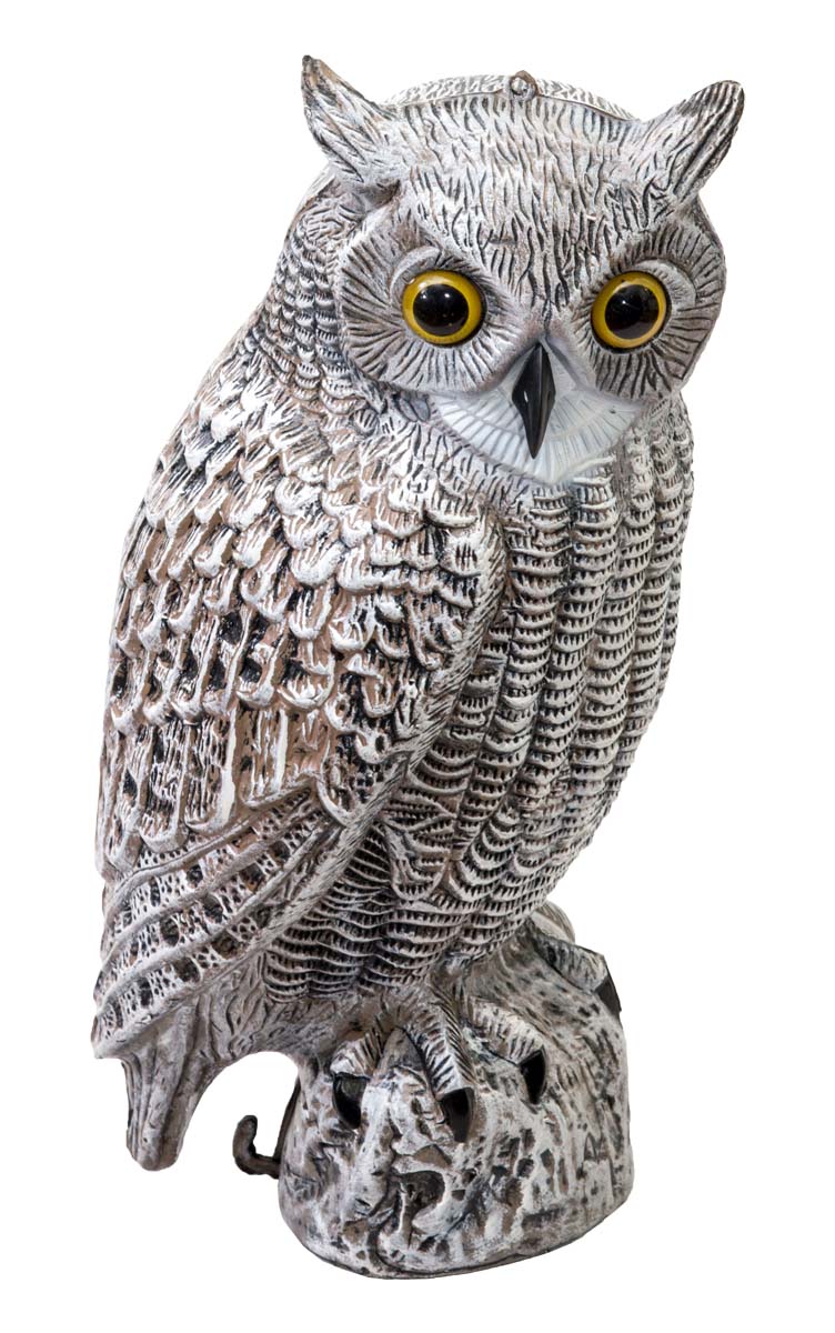 Image result for uggla