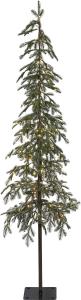 GRANTORP Julgran 180cm 240L Grön