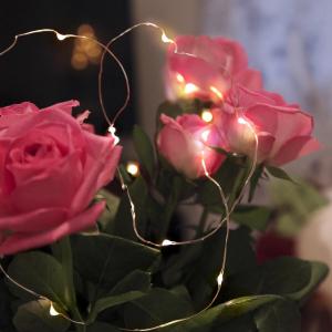 DEW DROP Ljusslinga 110cm Vit