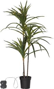 BALI Dekorationsträd 90x55cm 50LED Batteri