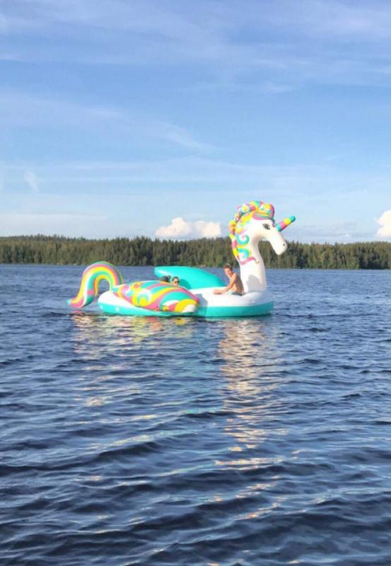 Gigantisk enhörning