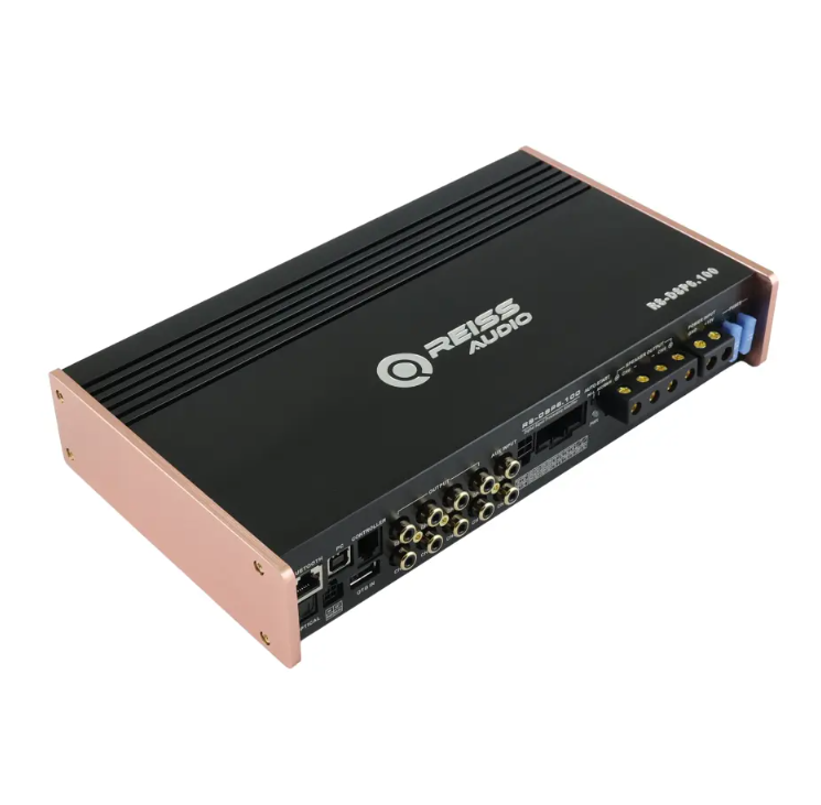 RS-DSP6.100