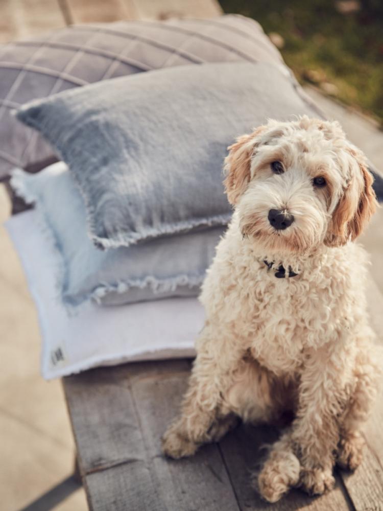 MISTY KUDDFODRAL Cloud