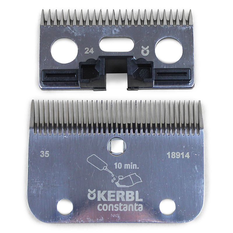 Skär Constanta Rodeo -18914