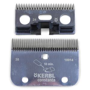 Skär Constanta Rodeo -18914