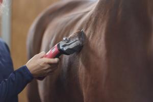 Aesculap Bonum röd, klippmaskin häst och nöt, 1 batteri