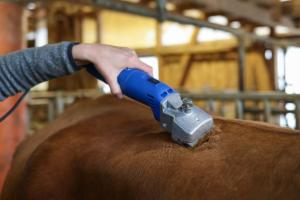 Renoverad Aesculap Econom med skär 31-15