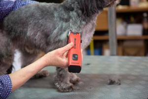 Aesculap Favorita CL Demo äldre modell