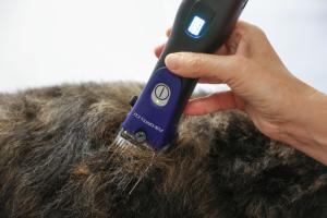 Aesculap Favorita paket grooming