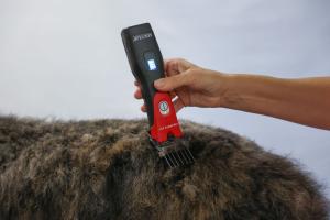 Aesculap Favorita CLI Röd 1 batteri