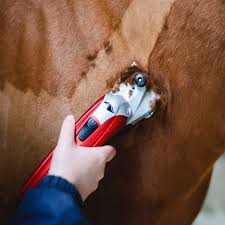 Liveryman Kare Pro 200, klippmaskin till häst och ko