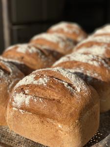 ROSTEBRÖD