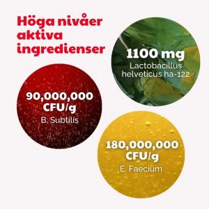 Buddycare Probiotica 150g