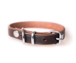 Active Canis Leather Collar 1,2×30 cm Brown